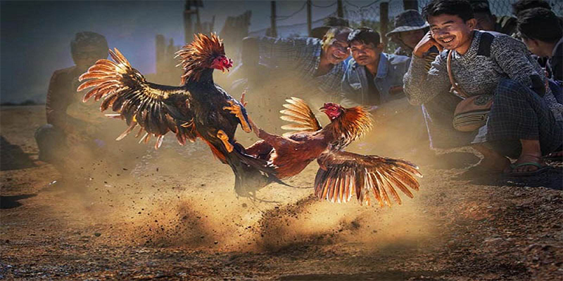 vietjack 1 chơi bắn cá đổi thưởng