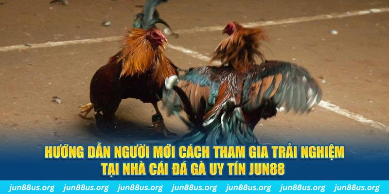 vietjack 1 CQ9 Điện Tử