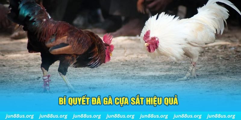 vietjack 1 xin 1 slot là gì