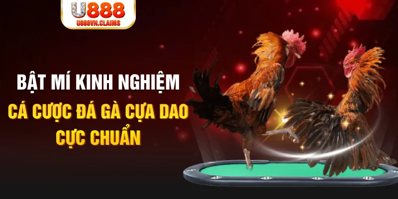 vietjack 1 tỷ lệ cá cược châu á là gì