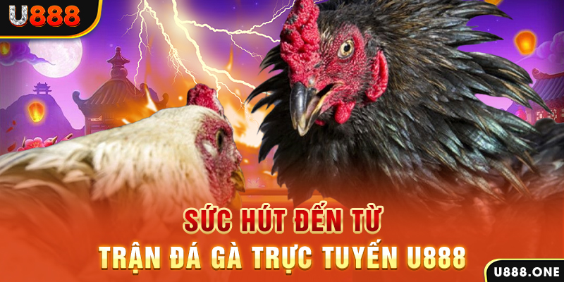 vietjack 1 nổ hũ b29 là gì