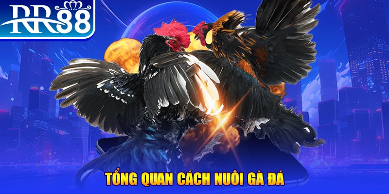 vietjack 1 VA Điện Tử