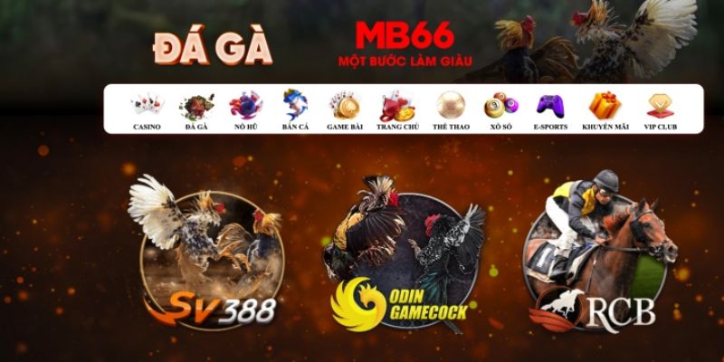 vietjack 1 đăng nhập poker số 1
