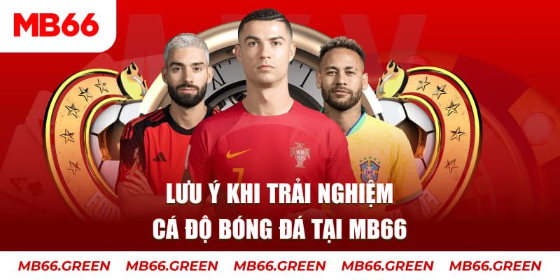 vietjack 1 cá cược là gì