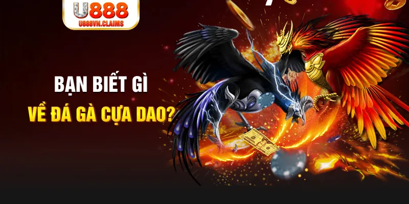 vietjack 1 nổ hủ là gì
