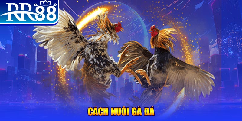 vietjack 1 xổ số an giang
