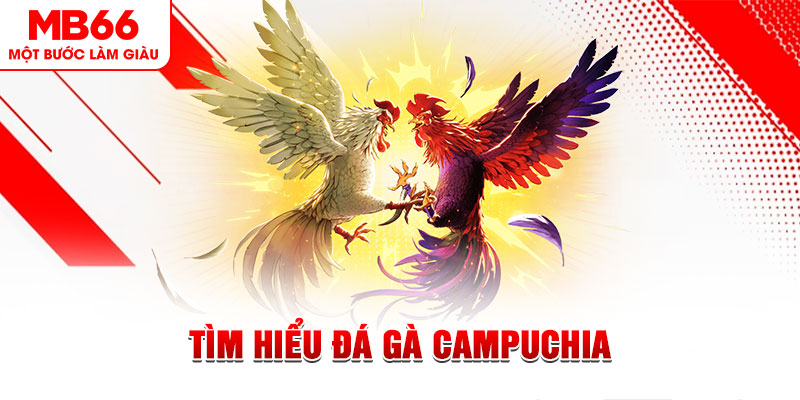 vietjack 1 đá gà trực tiếp
