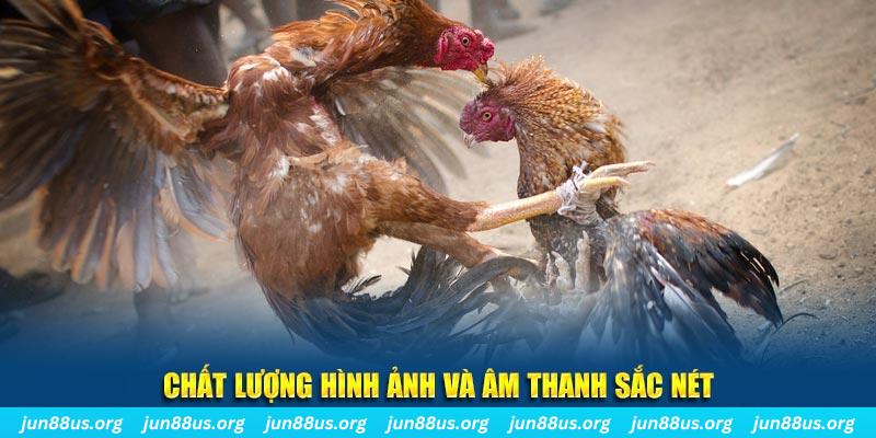 vietjack 1 đăng nhập roulette live