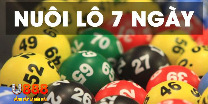 vietjack 1 slot là j
