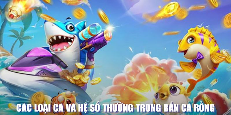 vietjack 1 đăng nhập sòng bạc mới nhất