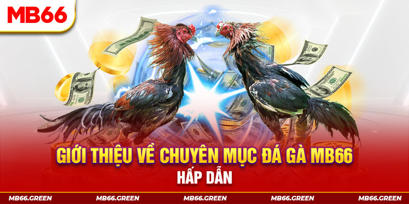 vietjack 1 đăng nhập sòng bạc đổi thưởng