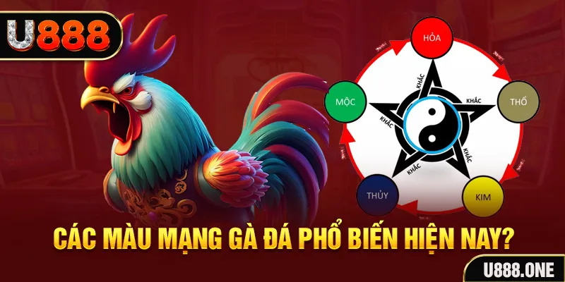 vietjack 1 trực tiếp đá gà 88