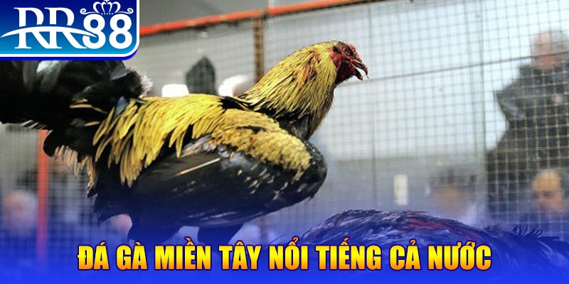 vietjack 1 JILI Game Bài 3d