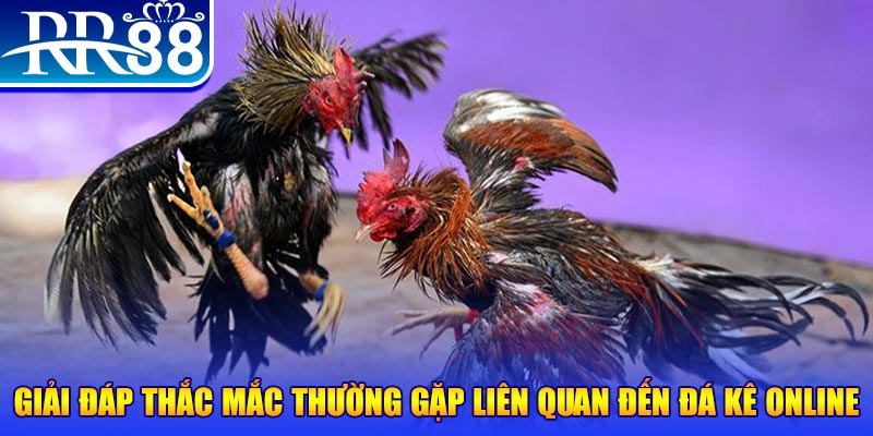 vietjack 1 slot machine là gì