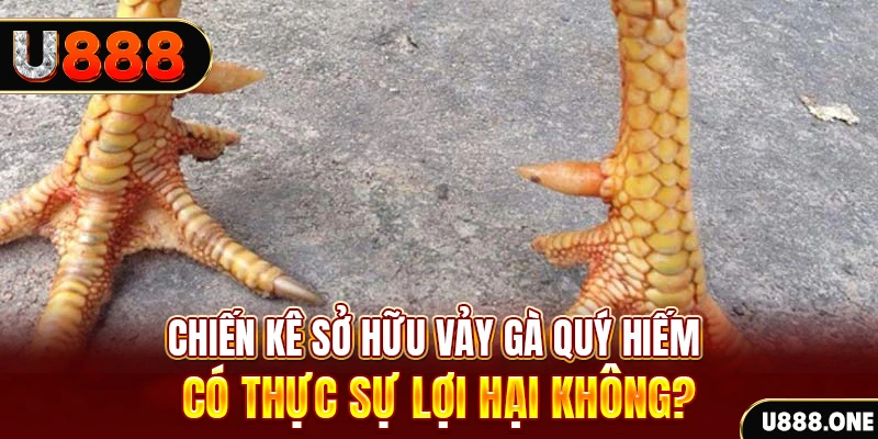 vietjack 1 nohu .mx nổ hủ là gì