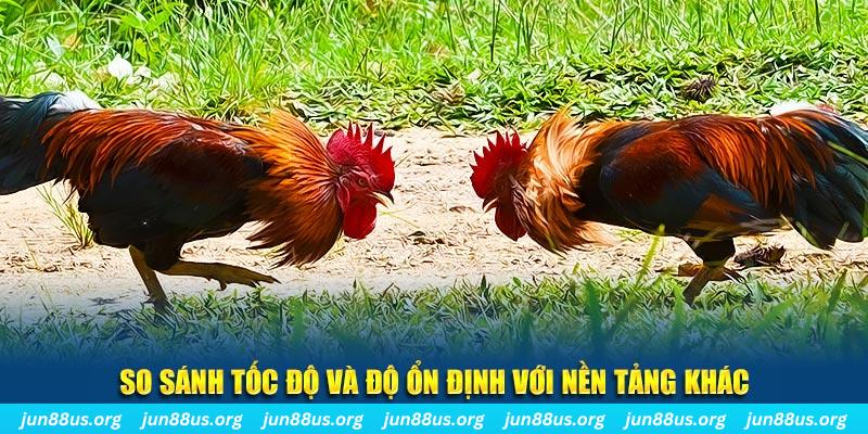 vietjack 1 đá gà hôm nay