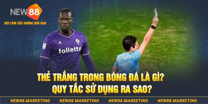 vietjack 1 gà chọi mộc hóa