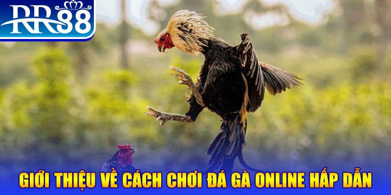 vietjack 1 game nổ hũ rút tiền mặt là gì