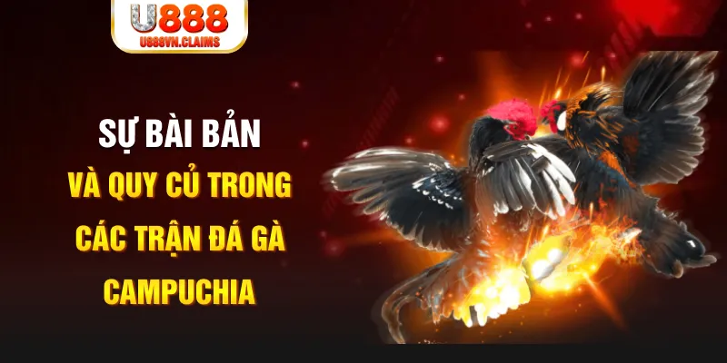 vietjack 1 YGR Điện Tử
