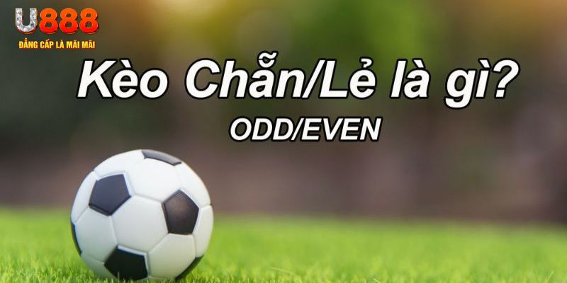 vietjack 1 đăng nhập poker hôm nay