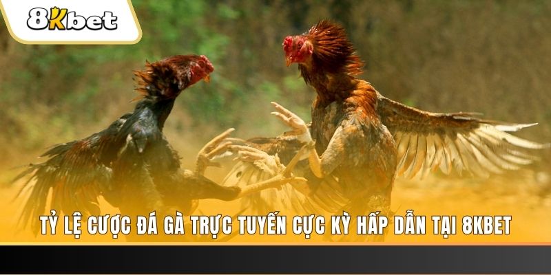 vietjack 1 đăng nhập phỏm trực tiếp