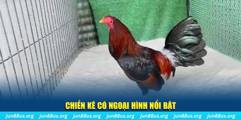 vietjack 1 chạy quảng cáo cho game bài bị phạt như thế nào