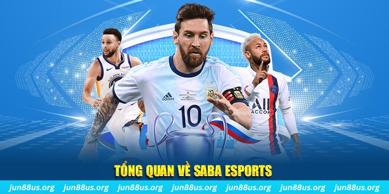 vietjack 1 EvoPlay Điện Tử
