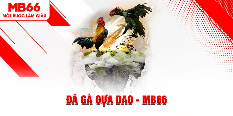 vietjack 1 đá gà sv388 gold