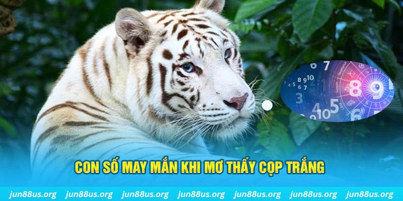 vietjack 1 đá gà trực tiếp 88
